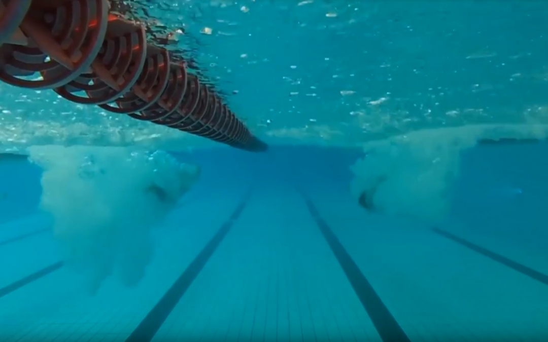 Départemental Natation Promo