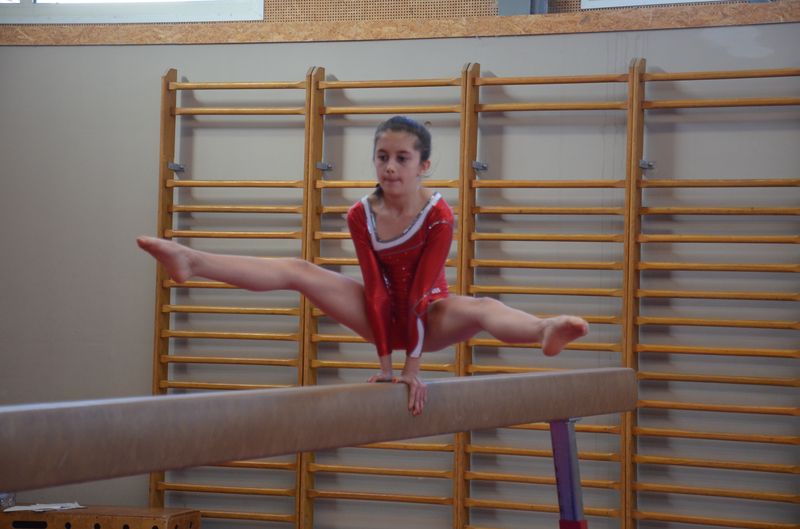 2016 - Régional Gymnastique Artistique